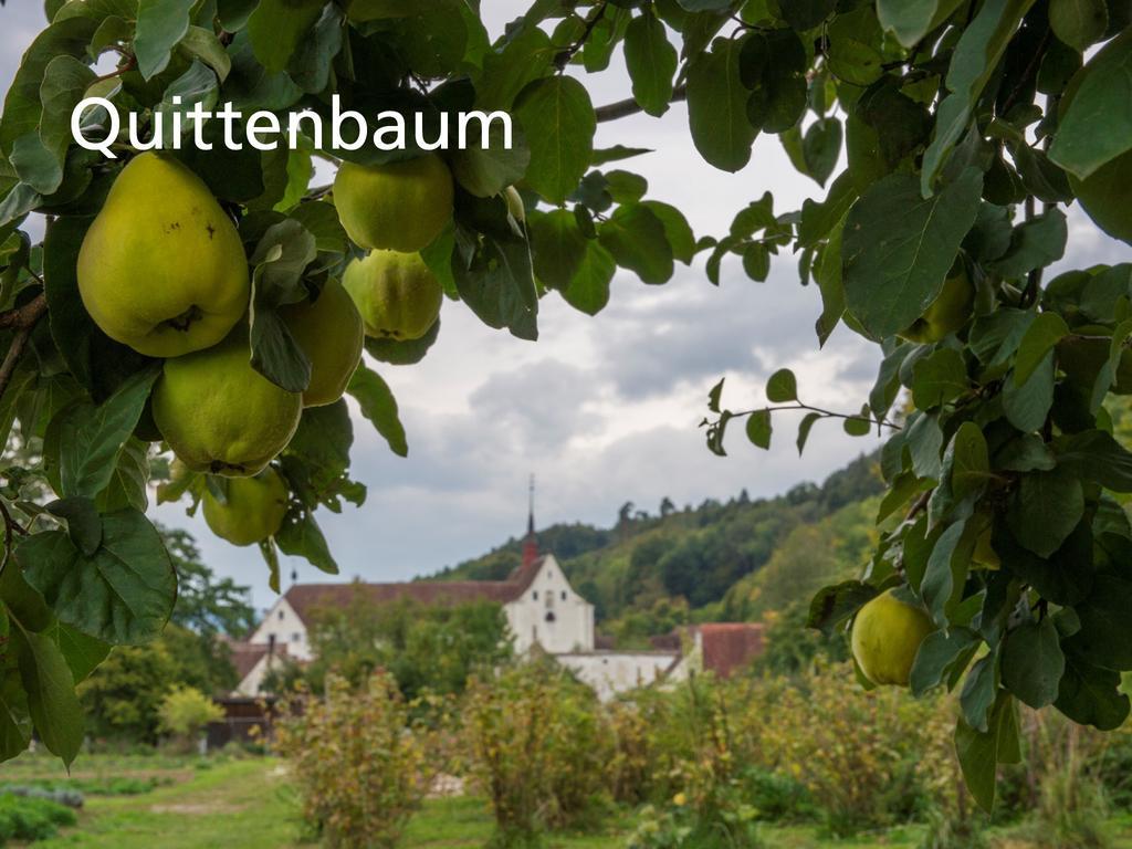 Kartause Ittingen Hotel Warth-Weiningen Bagian luar foto