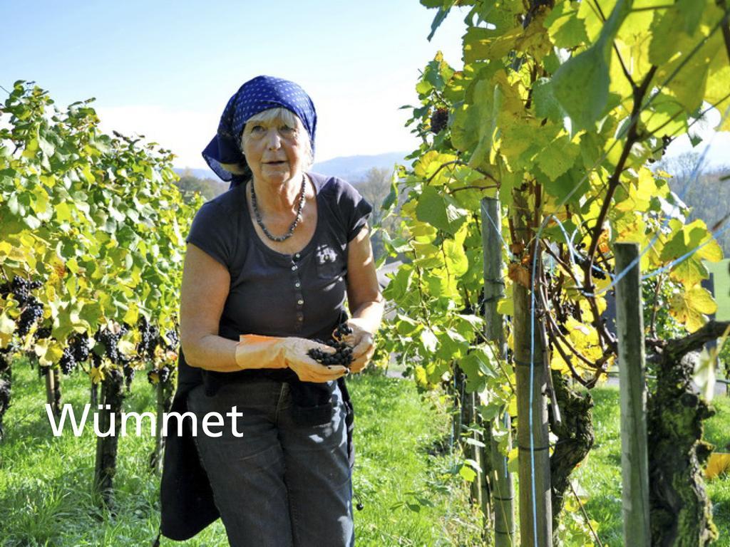 Kartause Ittingen Hotel Warth-Weiningen Bagian luar foto