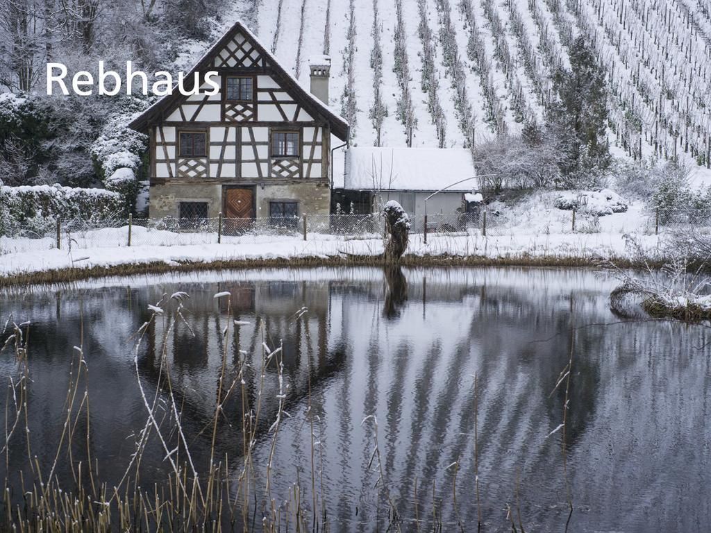 Kartause Ittingen Hotel Warth-Weiningen Bagian luar foto