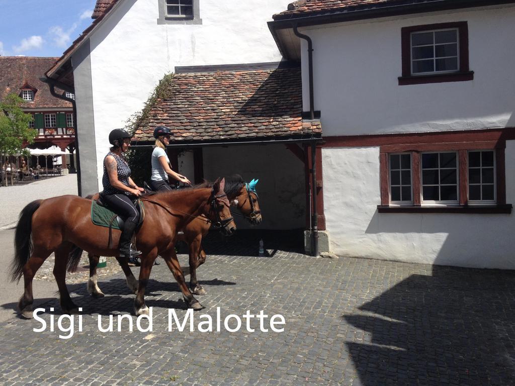 Kartause Ittingen Hotel Warth-Weiningen Bagian luar foto