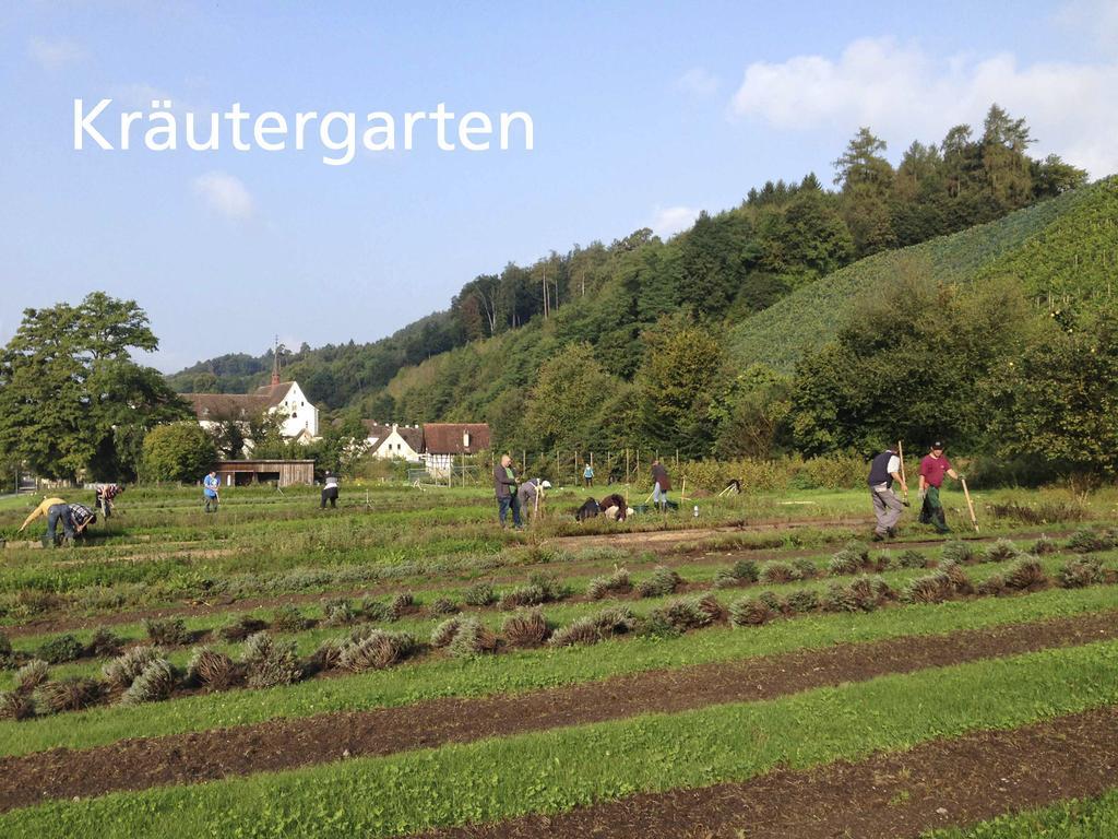 Kartause Ittingen Hotel Warth-Weiningen Bagian luar foto