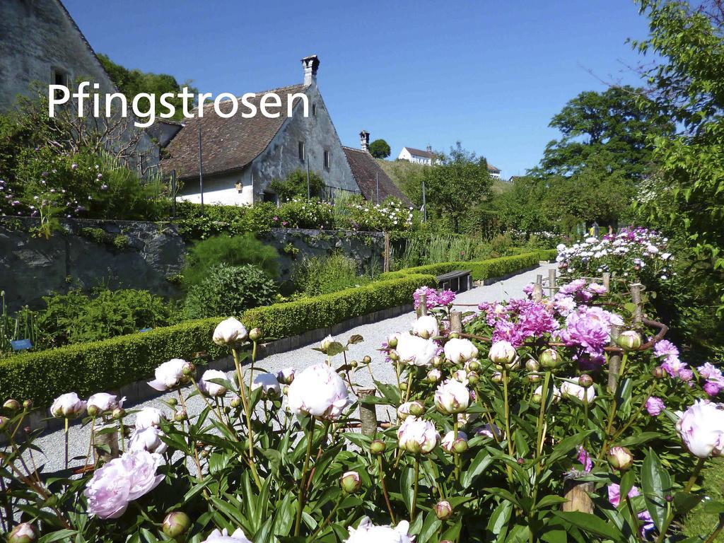 Kartause Ittingen Hotel Warth-Weiningen Bagian luar foto